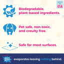 Home Starter Pack - 1 Gallon and 2 16oz Bottles - Stain Gone