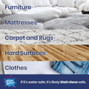 Home Starter Pack - 1 Gallon and 2 16oz Bottles - Stain Gone